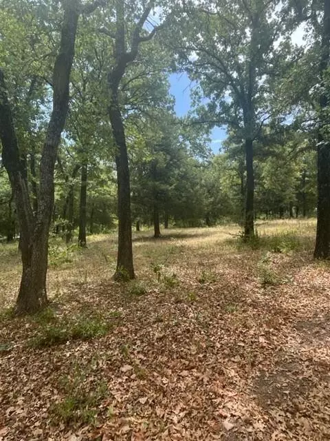 Valley View, TX 76272,2.01ac County Rd 2252