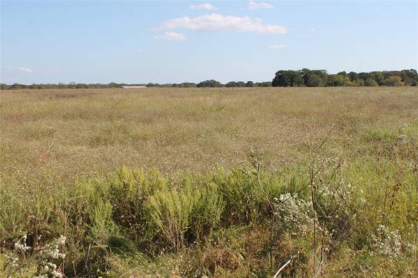 2540 W Cedar Creek Pkwy Lot 3 Highway, Kemp, TX 75143