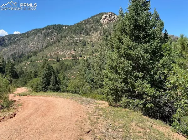 Larkspur, CO 80118,5521 Cheyenne DR