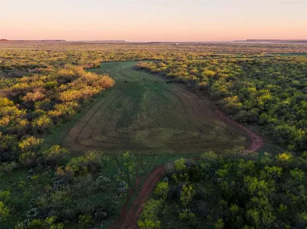 Robert Lee, TX 76945,855 Collett Road