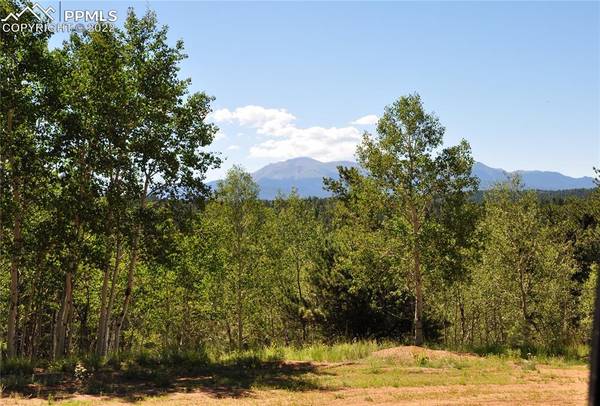 78 Blackhawk CIR, Florissant, CO 80816