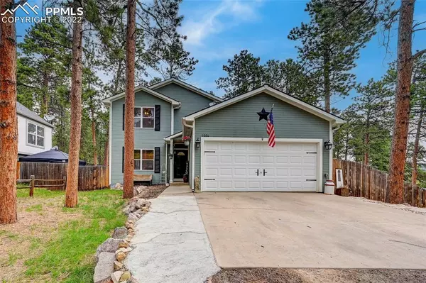 Woodland Park, CO 80863,1004 W Browning AVE