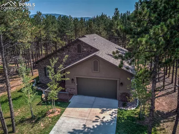 Woodland Park, CO 80863,1319 Firestone DR