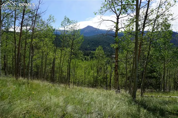 301 Calcite DR, Divide, CO 80814