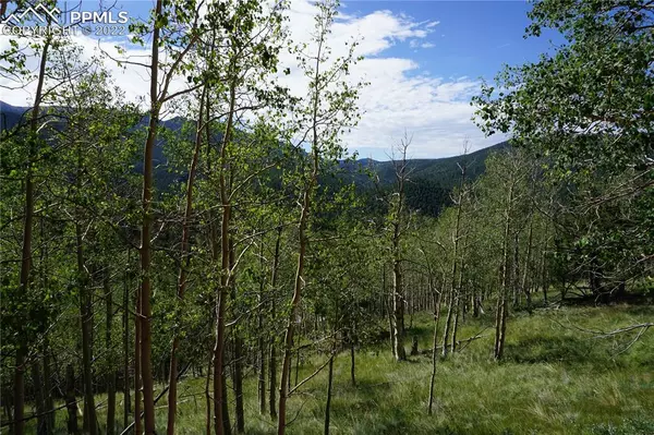 Divide, CO 80814,301 Calcite DR