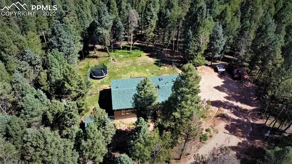 453 Donzi TRL, Florissant, CO 80816