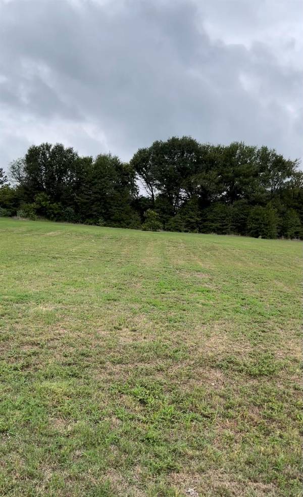 Lot 4 Private Road 7204, Wills Point, TX 75169