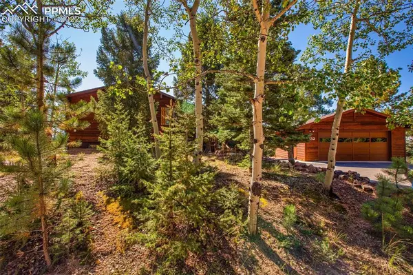 132 Walden Lake CIR, Divide, CO 80814