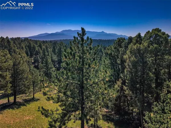 Divide, CO 80814,132 Walden Lake CIR