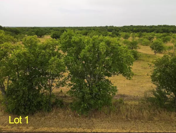 Collinsville, TX 76233,2.3 TBD acres Southmayd Road