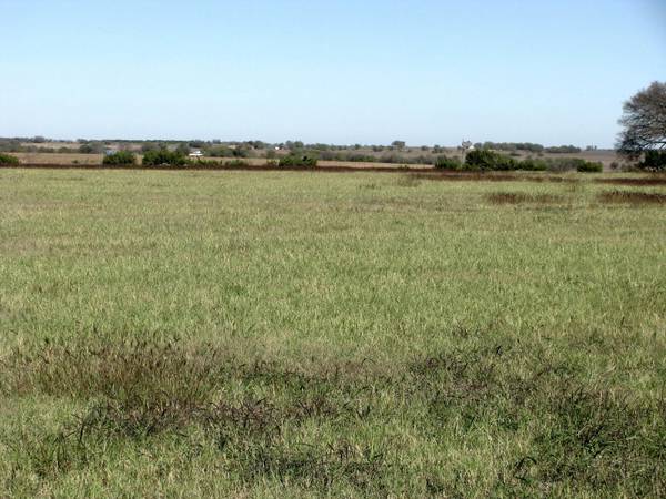 TBD-17 County Rd 255,  Gatesville,  TX 76528