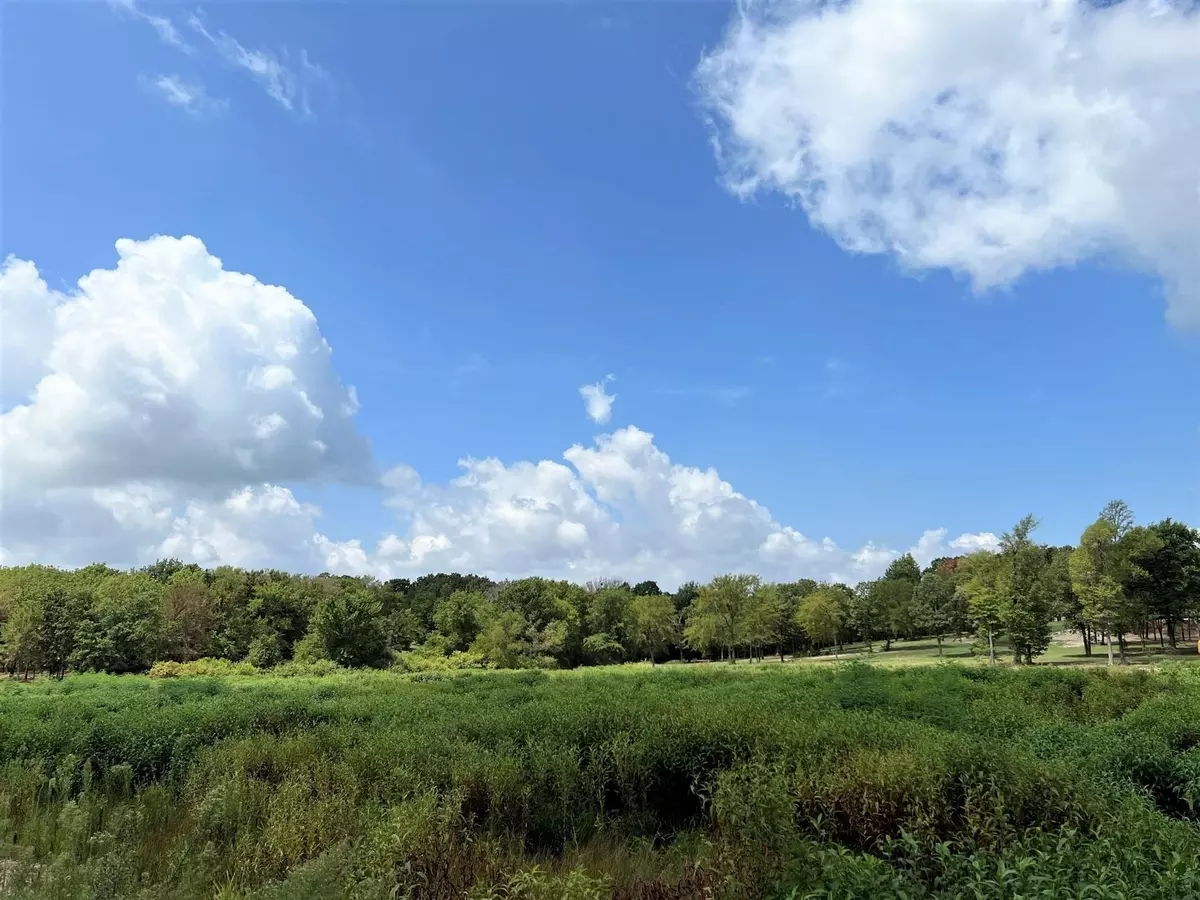 Yantis, TX 75497,LOT 25 County Road 1953