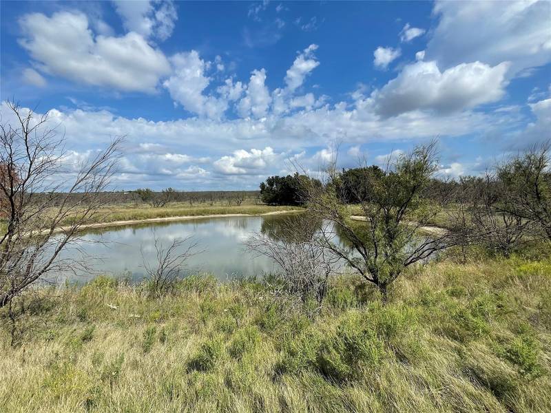 Tract 1 N CR 536, Mullin, TX 76864