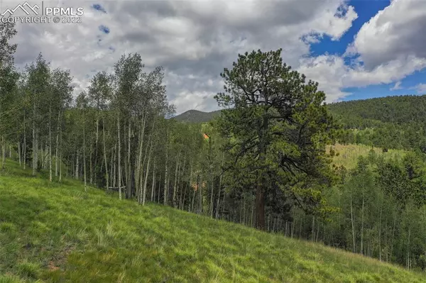 397 Pikes Peak DR, Divide, CO 80814