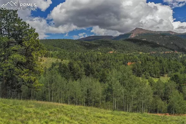 Divide, CO 80814,397 Pikes Peak DR