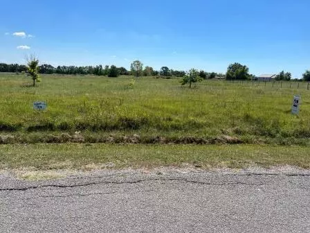 Greenville, TX 75401,Lot 23 Blueberry Hill Road