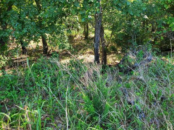 Lot 558 Lake Horizon Court, Bowie, TX 76230