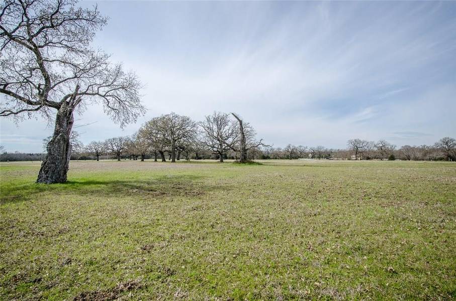 14171 Clark Drive, Streetman, TX 75859