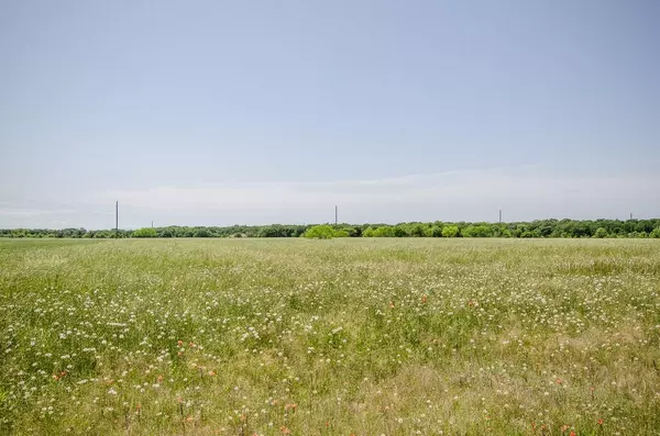 Corsicana, TX 75109,Lot 293 SE Private Road 3178