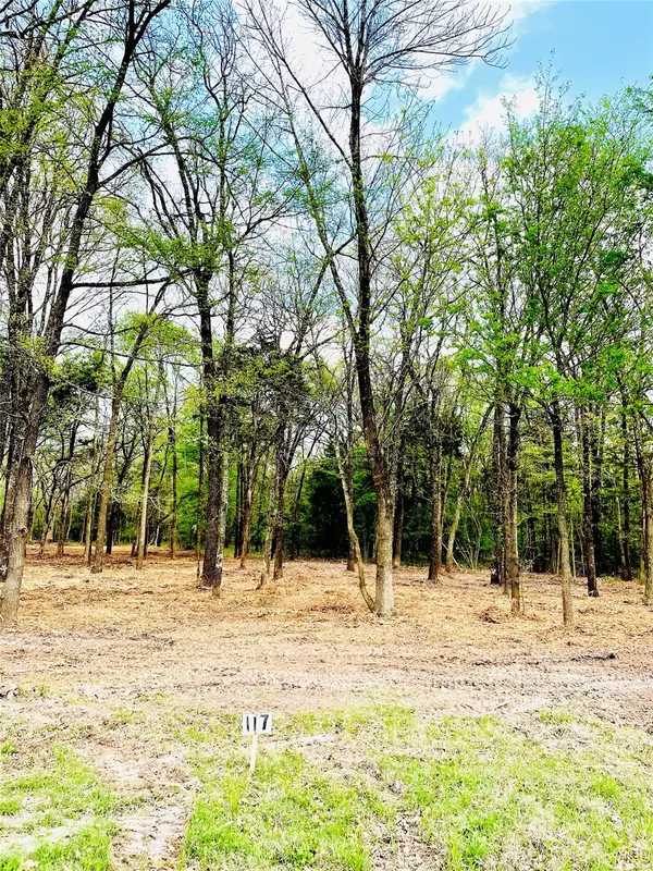 Corsicana, TX 75109,LOT 117 Watersedge Dr. BS# A37