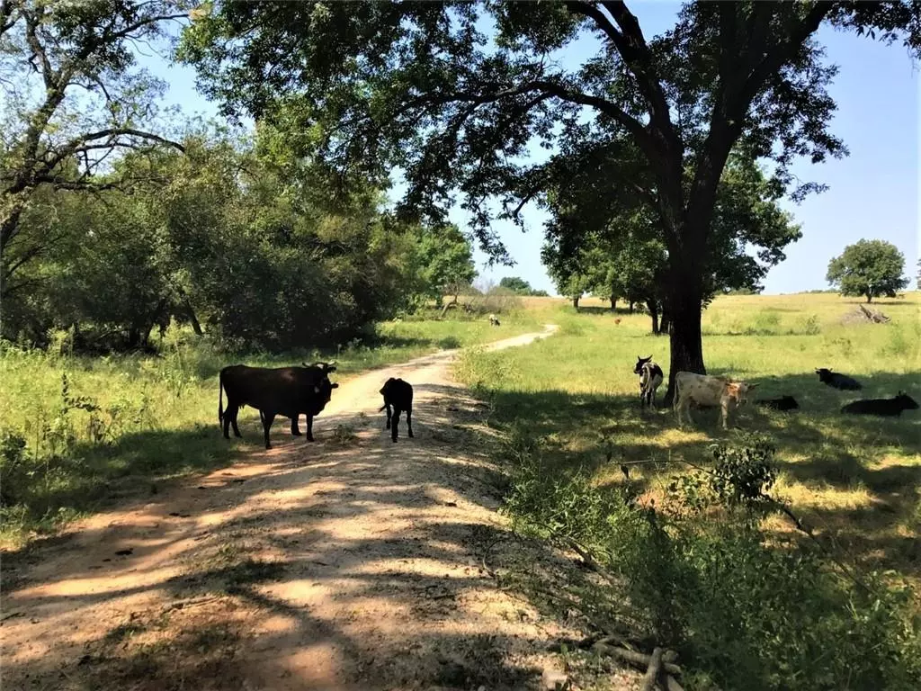 Paoli, OK 73074,112.76 Acres MOL