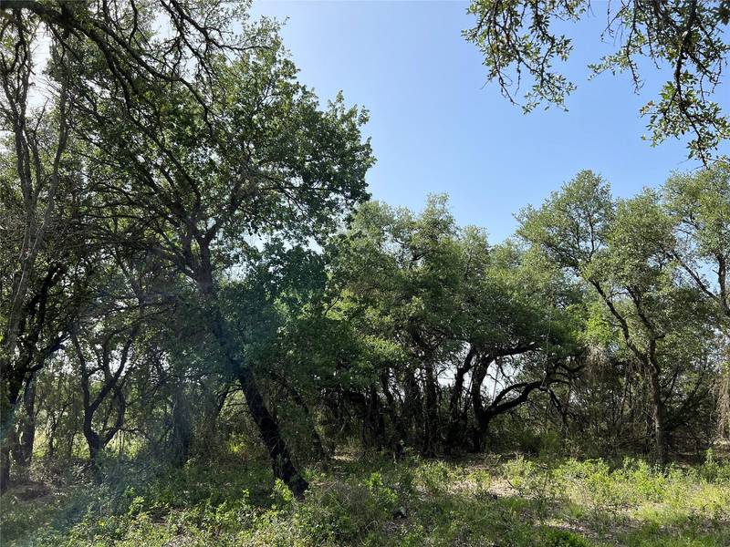 TBD CR 303, Hamilton, TX 76531