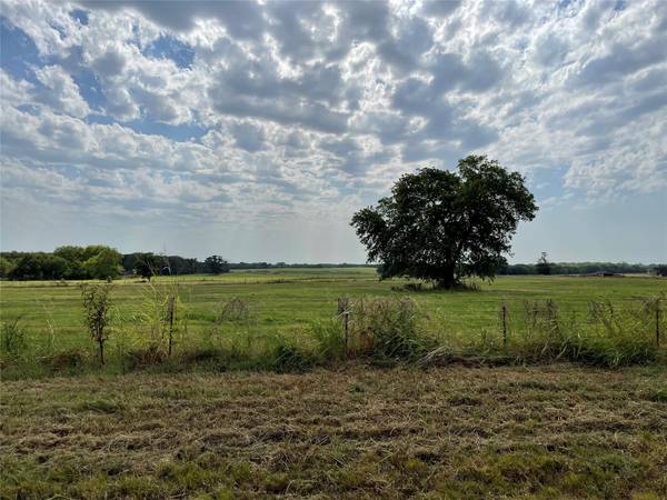 TBD Farm Road 269 S, Saltillo, TX 75478