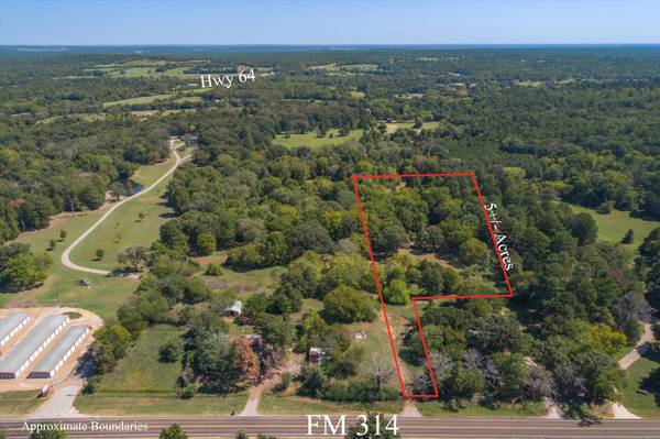 Tract 2 FM 314, Ben Wheeler, TX 75754