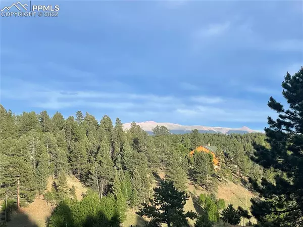 411 Twin Lakes DR, Divide, CO 80814