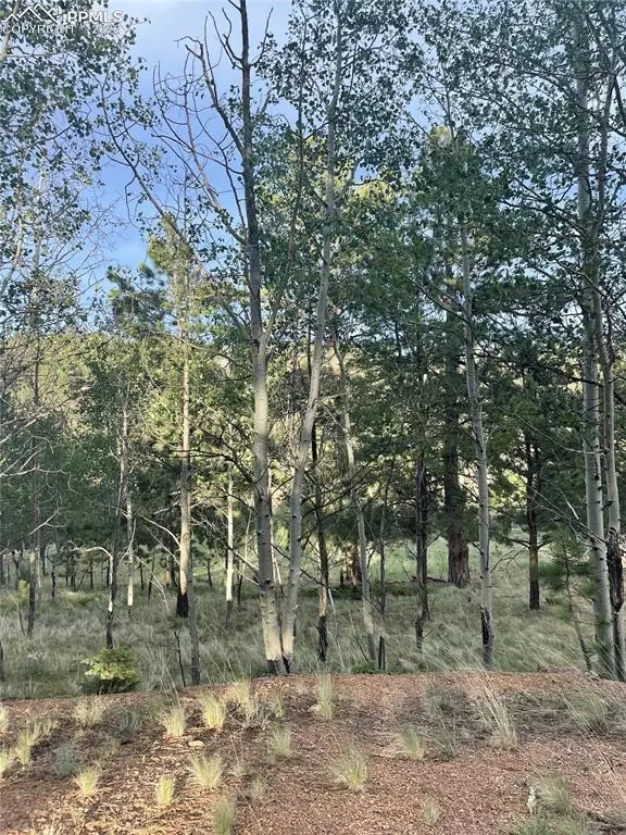 Divide, CO 80814,411 Twin Lakes DR