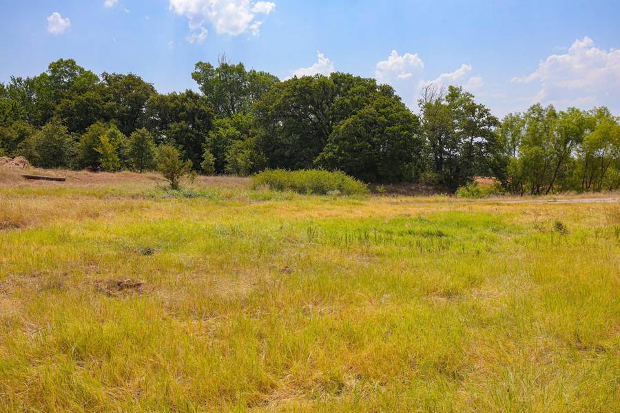 Lot 14 Aslan Road, Poolville, TX 76487