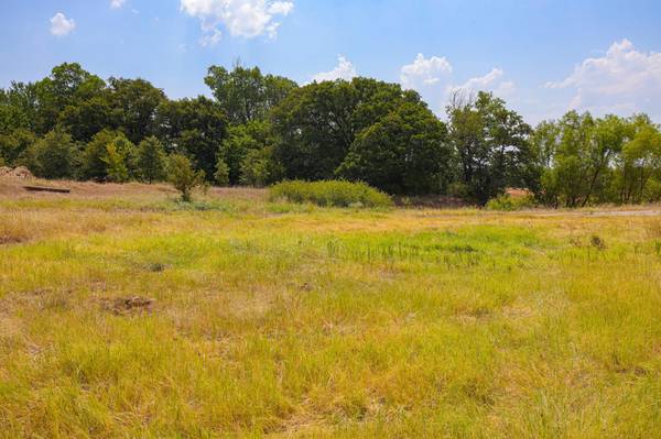 Lot 14 Aslan Road, Poolville, TX 76487