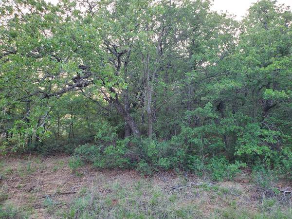 Lot 721 Sandstone Court, Sunset, TX 76230