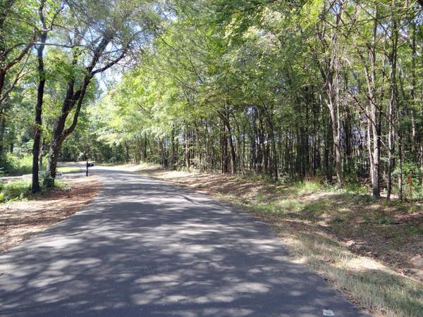 Lot 16 County Road 4870, Winnsboro, TX 75494