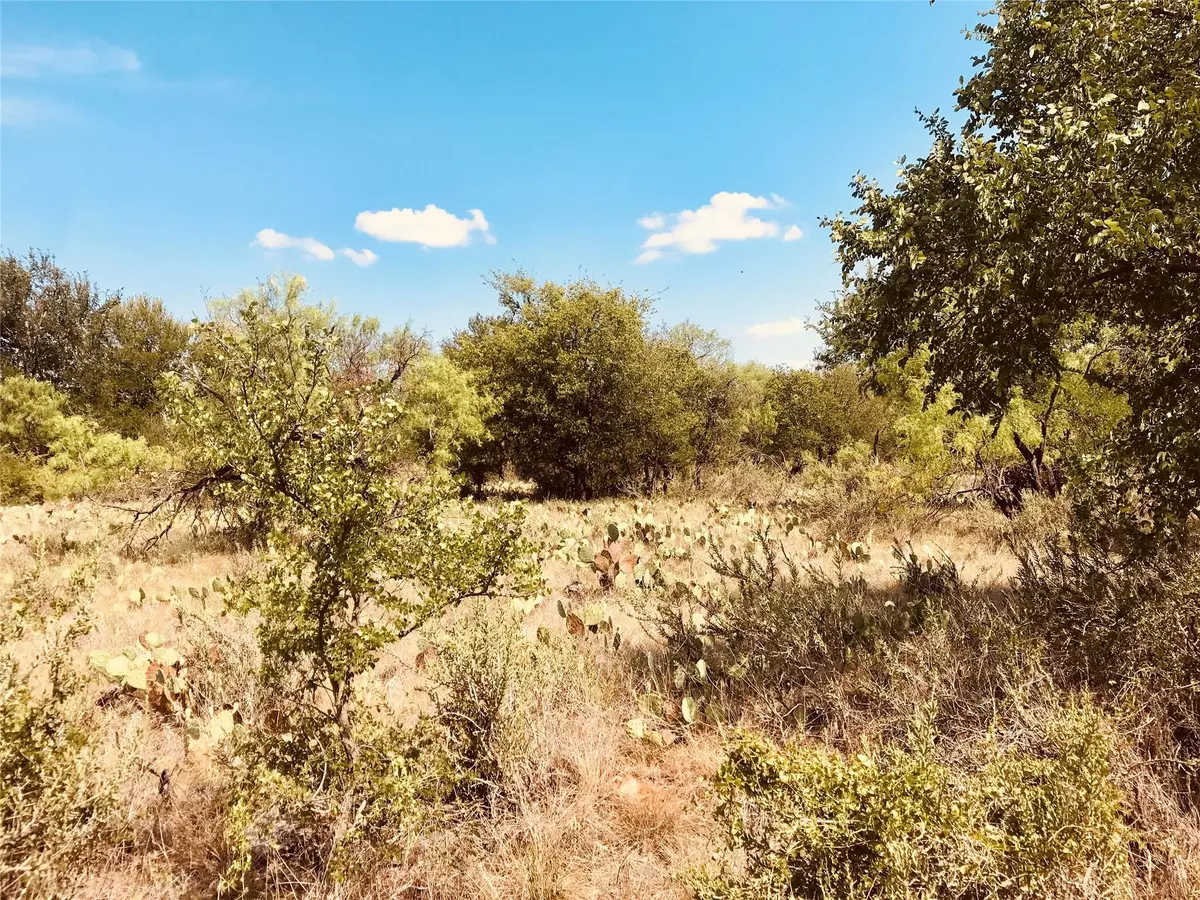 Eastland, TX 76448,TBD Hellenbeck Road