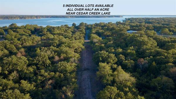 Lot 3R Drift Foam Drive, Gun Barrel City, TX 75156