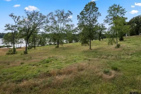 Pittsburg, TX 75686,0000 Waterside Lane Lane