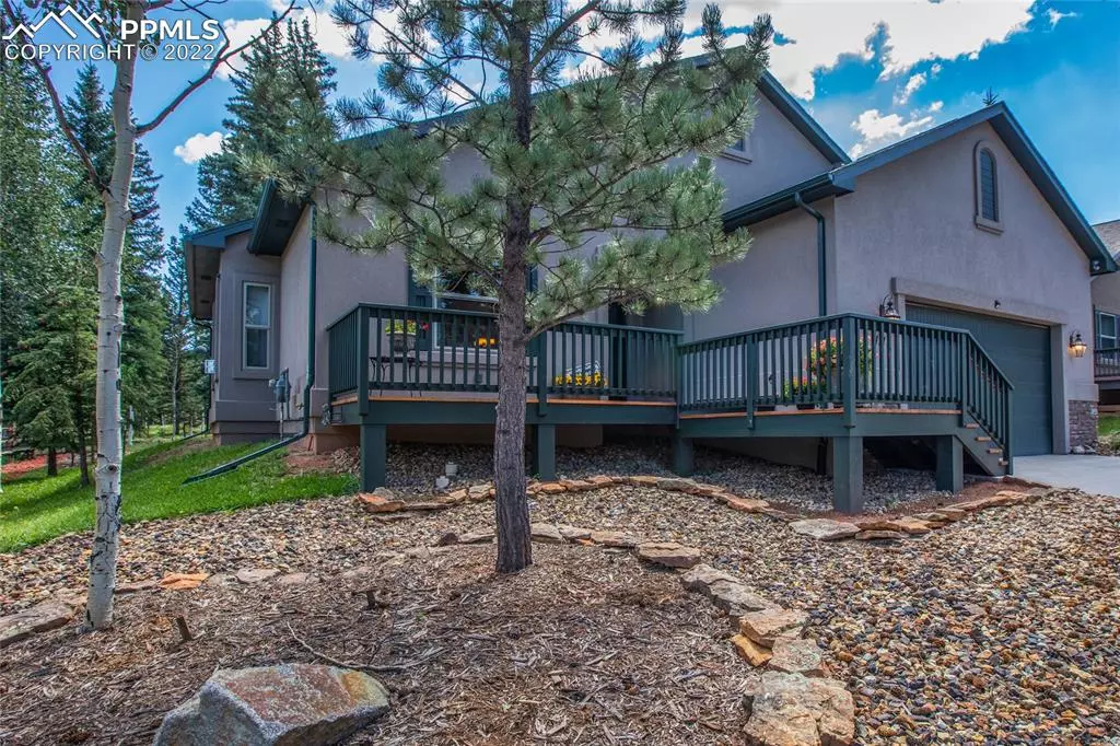 Woodland Park, CO 80863,1117 Ptarmigan DR