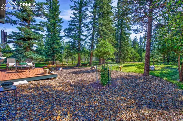 Woodland Park, CO 80863,1117 Ptarmigan DR