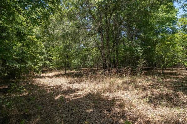 TBD VZCR 1524 Tract 14, Grand Saline, TX 75140