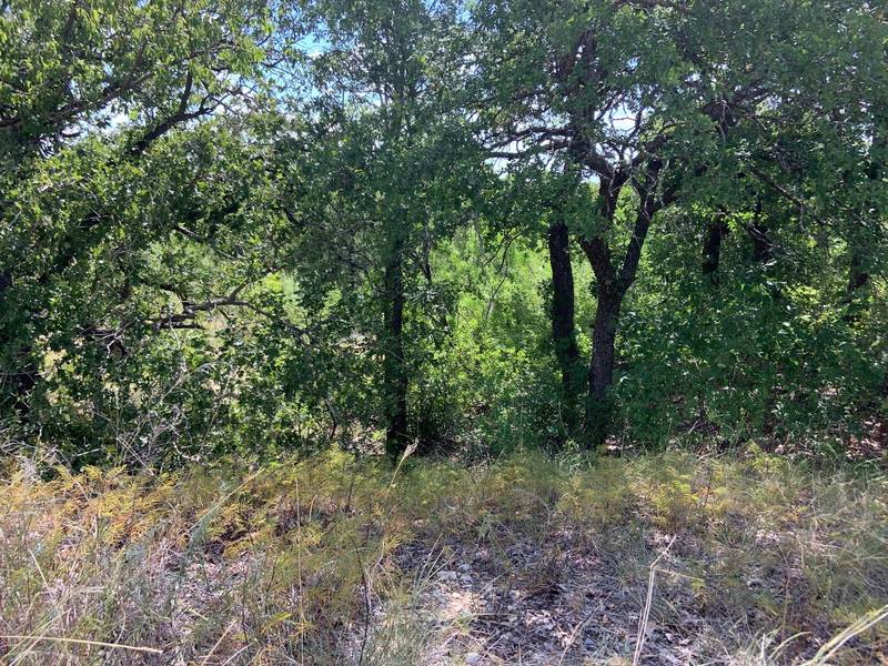 Lot 12 Hogan Place, Runaway Bay, TX 76426