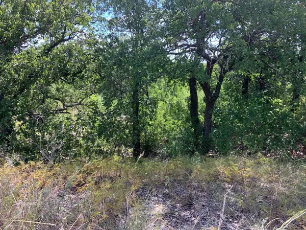 Lot 12 Hogan Place, Runaway Bay, TX 76426