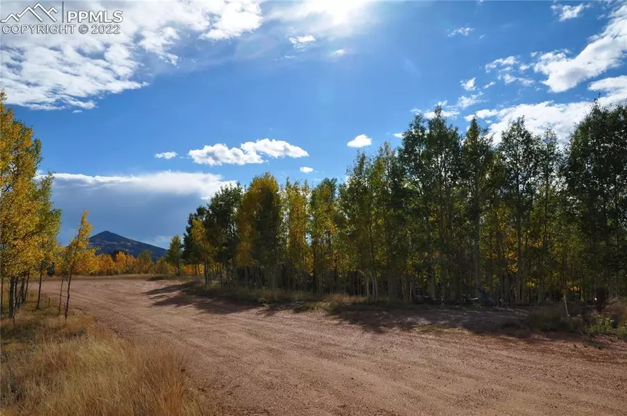 255 Andes TER, Cripple Creek, CO 80813