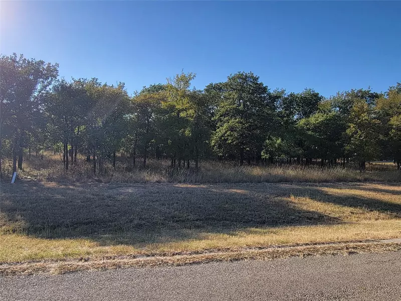 121 Sugartree Circle, Lipan, TX 76462