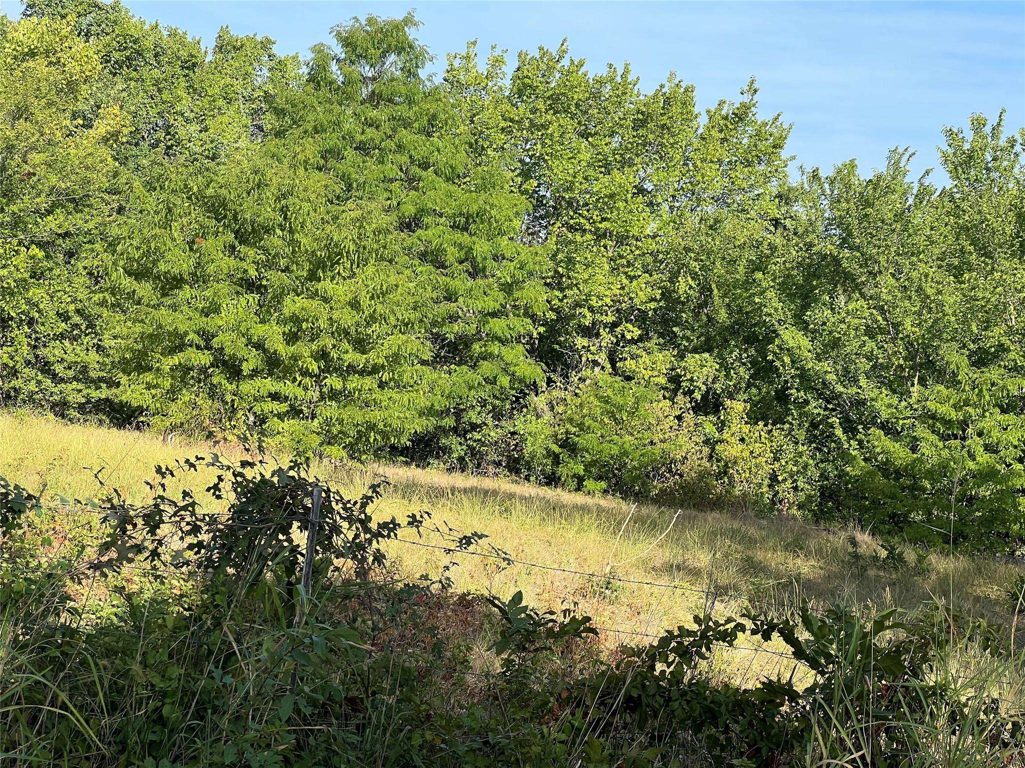 #12 County Road 4690, Boyd, TX 76026