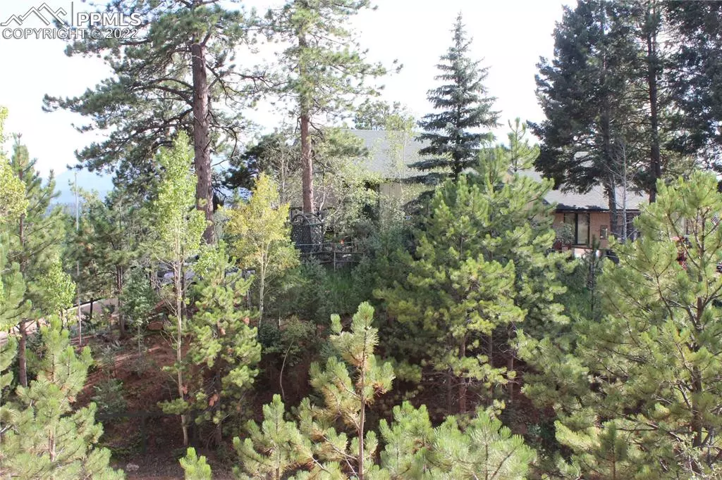 Woodland Park, CO 80863,137 W Ridge DR