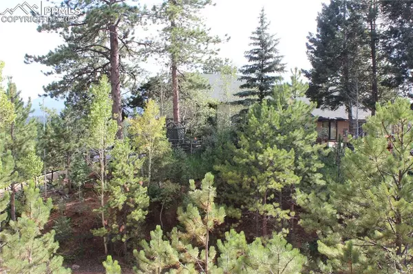 137 W Ridge DR, Woodland Park, CO 80863