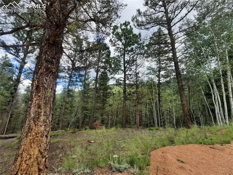 1007 DERBY DR, Cripple Creek, CO 80813