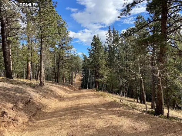 Divide, CO 80814,5508 Skycrest CT