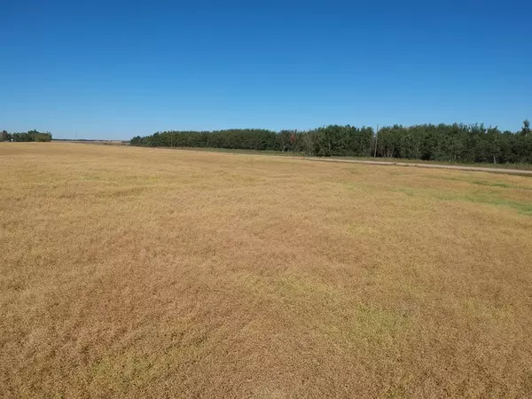 Rural Flagstaff County, AB T0B 2L0,On Range Road 454